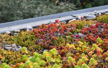 the cost of Hill View green roof installation