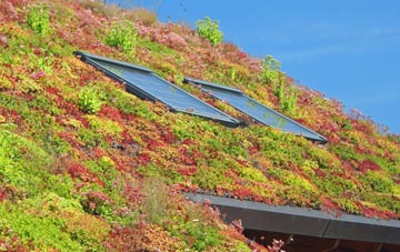 Hill View living roof systems