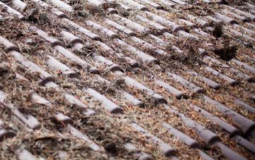 Hill View roof cleaning companies