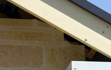 soffit repair Hill View