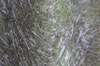 Hill View fibreglass roof work